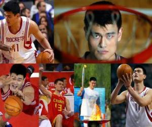 yapboz Yao Ming, profesyonel basketbol emekli (2011)